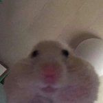 [댓글부탁해] 아이폰 업뎃햇는데 <b>카뱅</b>이 안들어가짐;;