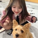 [댓글부탁해] <b>여</b><b>돌</b> 예쁜 <b>사진</b>좀 올려주라!