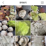[NCT칠프] <b>매력</b> 심하다