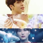 드디어!! 진짜로 안 부시는 크래비티 컨필 볼 사람