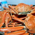 [박달<b>대게</b>] 배부르다 꺼억~ ◕‿◕