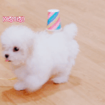 헐 <b>큰일</b>났다