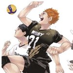 [하이큐] 하이큐 묘미는