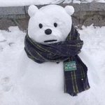[댓글부탁해] 지그재그/<b>브랜디</b>에서 추천하는 옷 알려주라