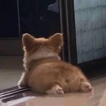 <b>돈</b> 많이 벌어도 별로 안멋있는 직업 뭐라<b>생각</b>함