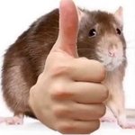 [진격의거인] 애니ㅅㅍ 진격거 최초로 나온 키스신을 공개합니다