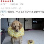 [드루와] 글왜짤림 나오지콤인거니?