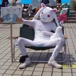 [<b>투</b><b>디</b>톡] 씹덕들애 세걔에 온걸 화녕한다네