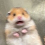 야 나 쌤인 줄 모르고 전화로 반말 <b>때림</b> ㅋㅋㅋㅋㅋㅋㅋㅋ