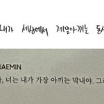 [NCT드림] 막둥이랑 재미니 관계성 너무 이쁨