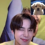 [NCT칠프] 강아지가 <b>왼쪽</b>맞지?