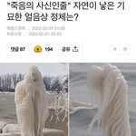 캐나다에 나타난 <b>죽음</b>의 사신