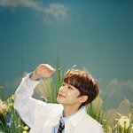 크래비티 기억하니