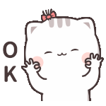 <b>Ok</b>