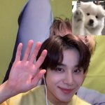 [NCT칠프] <b>심신</b>안정