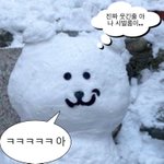 문제집 추반좀
