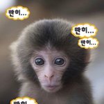 쌍수랑 앞트임 할 건데 어떨 것 같아