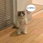 [드루와] 몇년전까지만 해도 중국어 <b>열풍</b>에