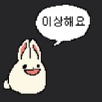 내 취향 <b>임티</b> 찾앗다