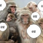 [19] 나 <b>동족</b>혐오 ㅈㄴ 심한데 원인이 뭘까