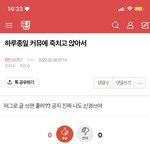 [방탄소년단] ⚠️조방⚠️밑글 밑밑글 하루종일커뮤 <b>비리</b>경찰 여기서봐