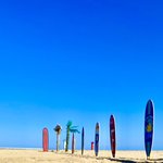 [댓글부탁해] 다행이다.. 아무리 내 <b>돌이</b> 인기없어도..