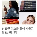 셀레나 고메즈 도용사건