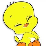 헤라 블<b>쿠랑</b> 블파 써본사람 ㅜㅜㅜㅜㅜ