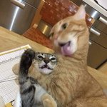 너넨 <b>코로나</b> <b>검사</b> 맡은 거 스토리에