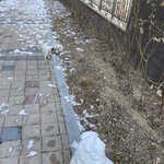 하 얘는 어ㅐ이렇게 <b>무드</b>가 없니