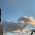 [ㅈㄱㄴ] 나 귀 이명때매 대학병원 예약함