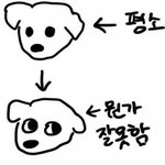 강아지들 이 표<b>정지</b>을때 너무 귀여움