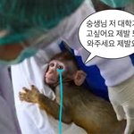 [드루와] 나 진짜 개서럽다ㅠㅠㅠ
