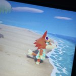 <b>동숲</b> 하는 애들아 얘 인기 많음??