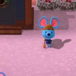 <b>동</b><b>숲</b>하거나 해봤던 애들 최애 주민 누구임