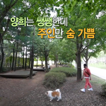 [드루와] 성훈 <b>선출</b>이었어?