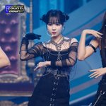 우리 강아지 윈터 닮았는데 사진 좀 봐봐