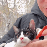 [댓글부탁해] 얘들아 영화예매 4천원에 살사람