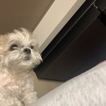 반<b>배정</b> 때문에 멘붕 ㅠㅠ 어카지