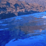 아기상어 좀 봐봐….졸<b>귀임</b>