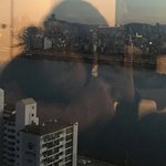 내 <b>사촌</b>동생 개귀엽지……