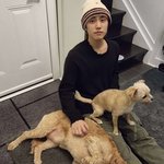 [더보이즈] 성공한 삶이다