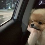 피부 잘알 들어와 급해