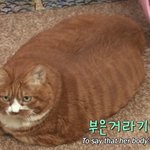 얘들아 너네 <b>보정</b>어플 뭐 씀??