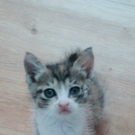 2030세대, 어떤걸 좋아하세요?!? 도움 부탁드려요ㅜㅜ