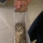 [댓글부탁해] <b>알</b>바 <b>몇</b>년 하면서 느낀 점