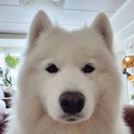 너네 매운 라면 끓일때 재채기 <b>안</b><b>남</b>??
