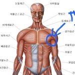 [댓글부탁해] <b>백신</b> 3차 맞고 여기가 엄청 부었어