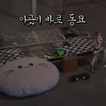 당근<b>마켓</b> 많이하는 사람?