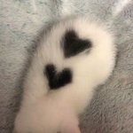 오늘 편의점 알바하는데 울 뻔 ..